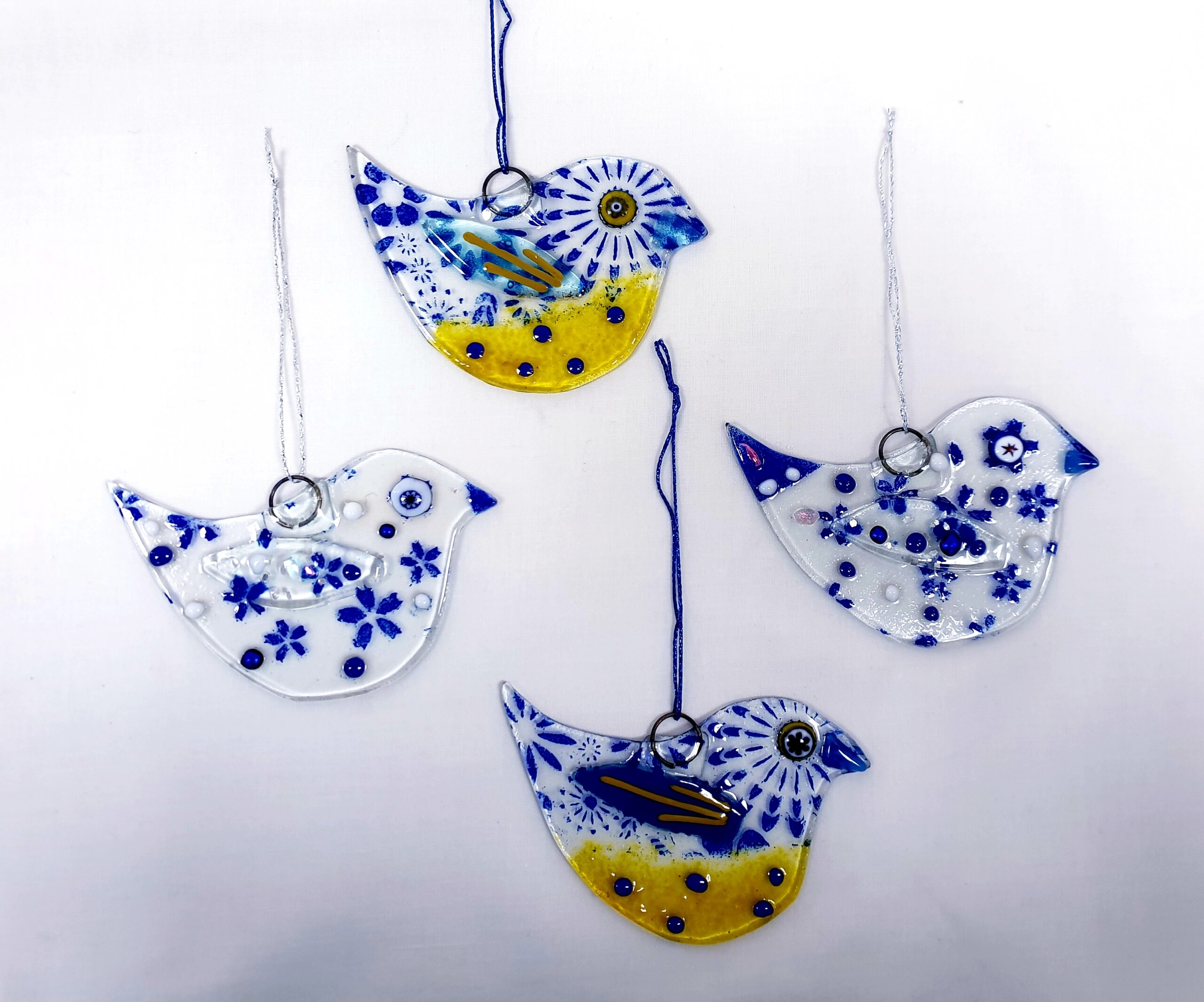 Winter Birds - Half Day Workshop - Image 10