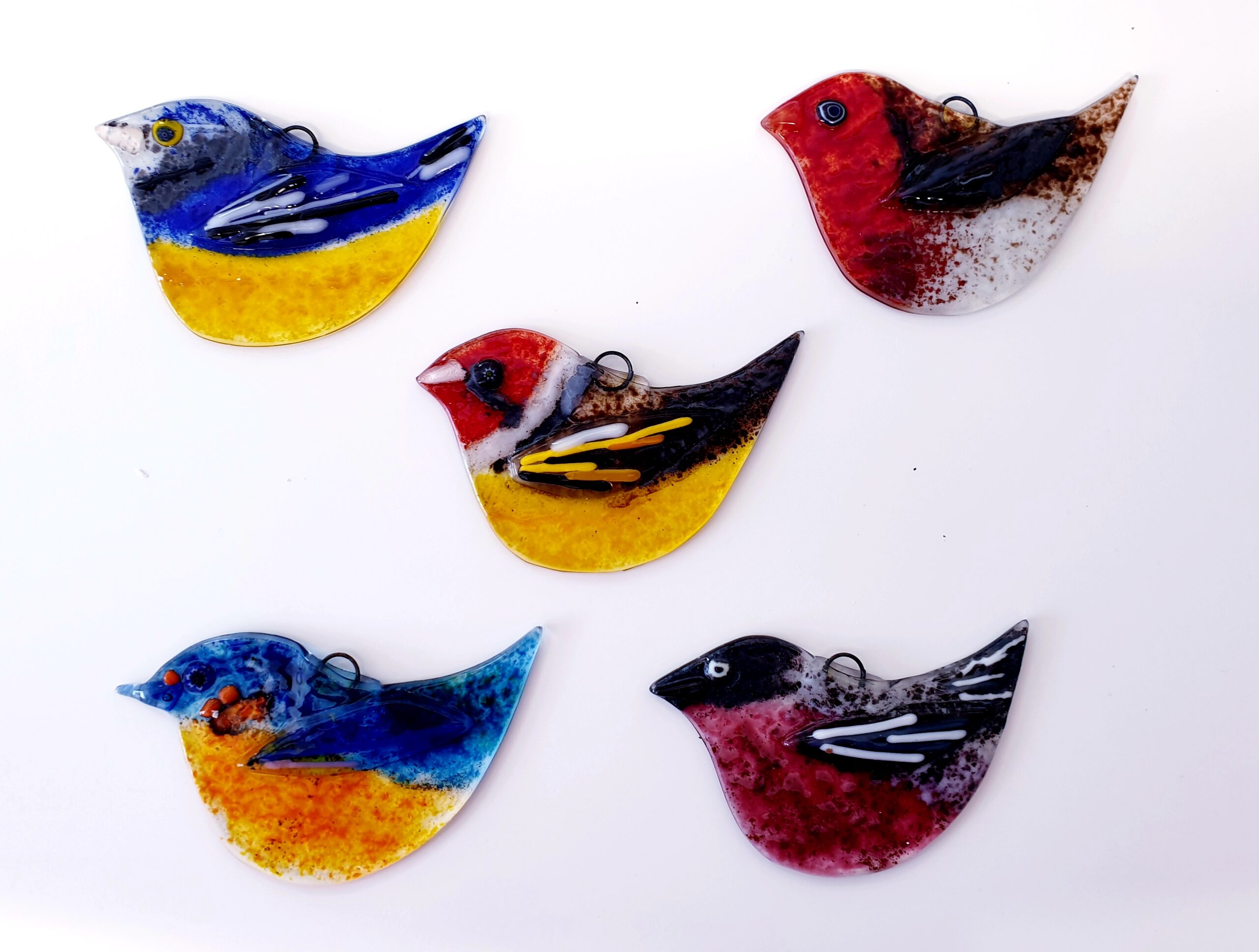 Winter Birds - Half Day Workshop - Image 12