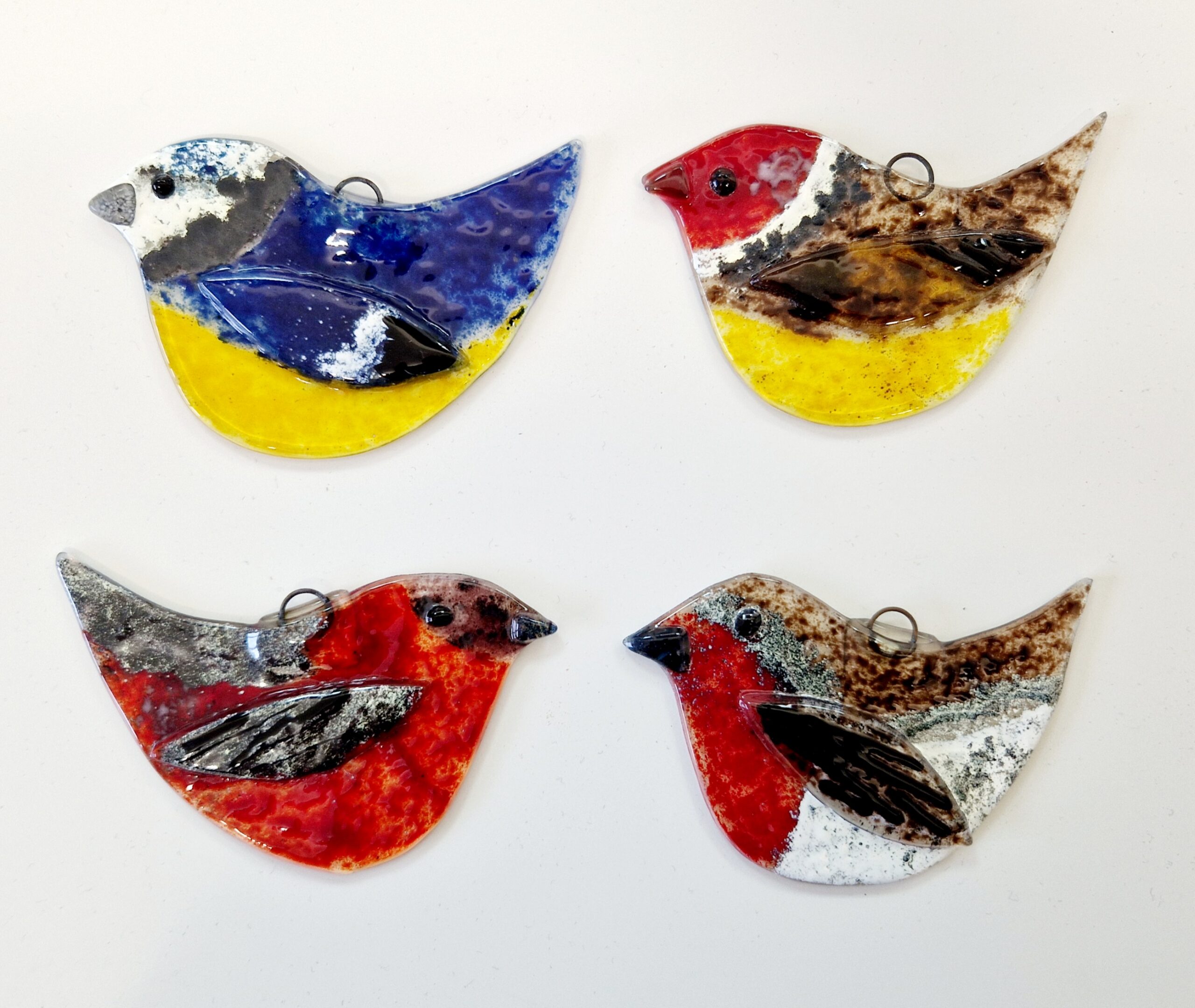 Winter Birds - Half Day Workshop - Image 13