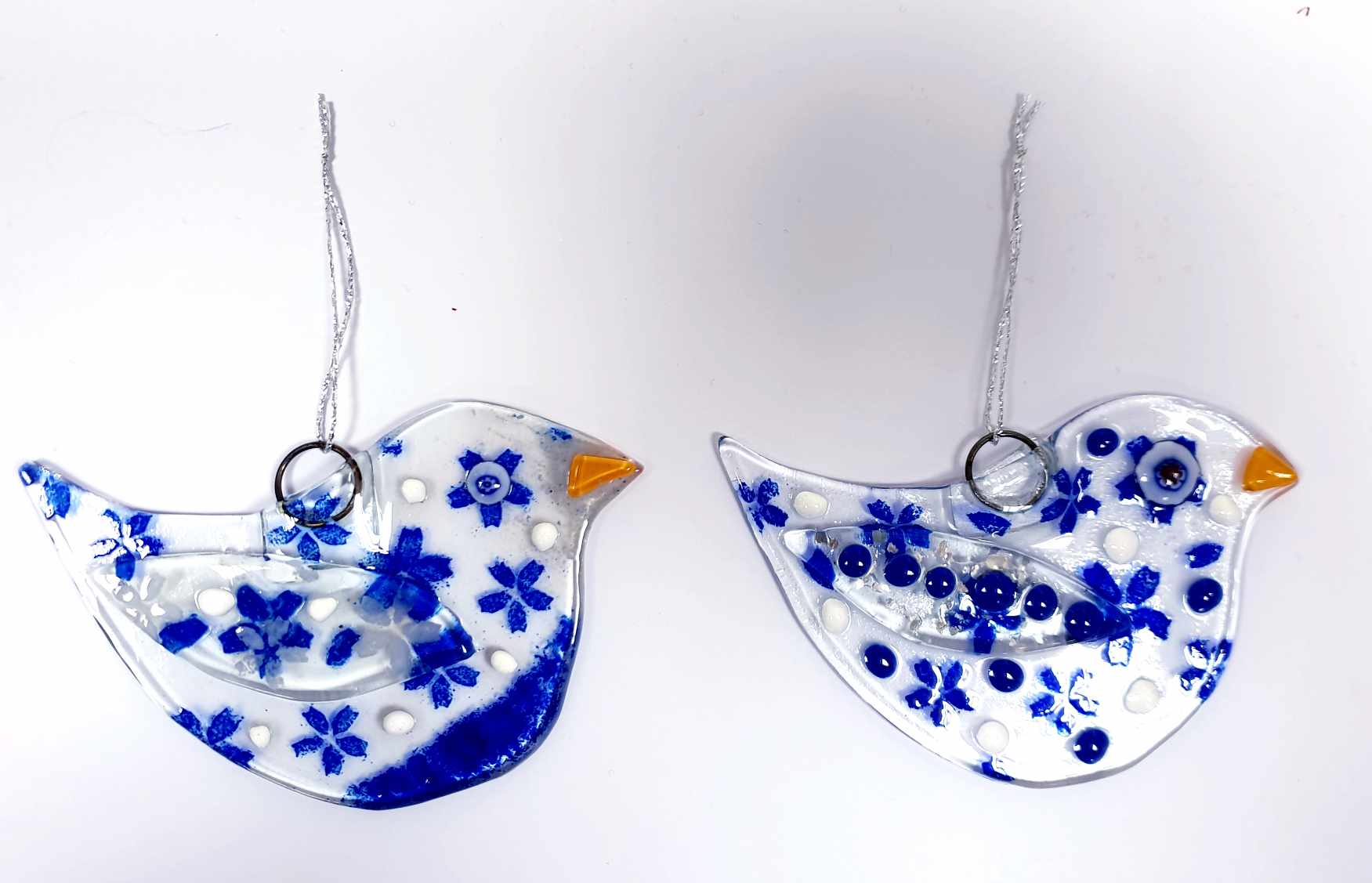 Winter Birds - Half Day Workshop - Image 7
